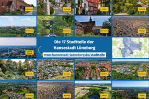 17 Teile, eine Stadt: Lüneburg im digitalen Porträt